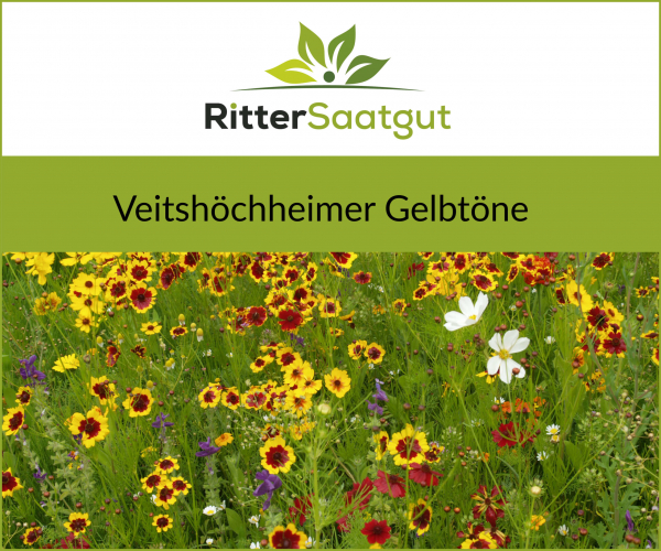 Veitshöchheimer "Gelbtöne"