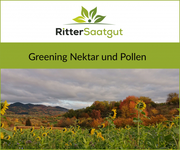 Greening Nektar und Pollen