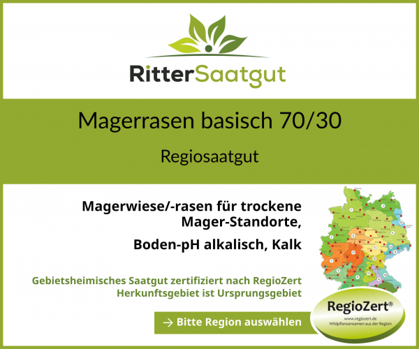 Magerrasen basisch 70-30