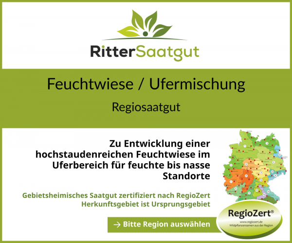 Feuchtwiese / Ufermischung 70/30