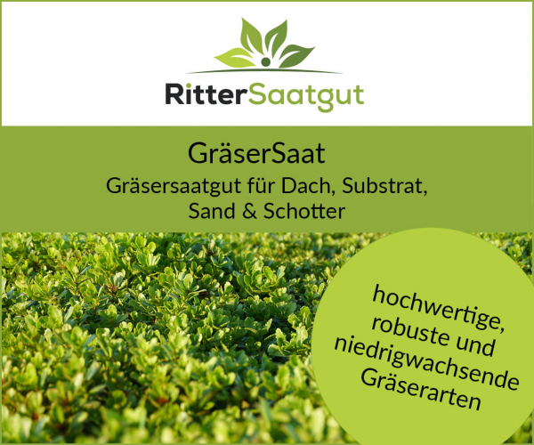 GräserSaat | Für Dach, Substrat, Sand & Schotter