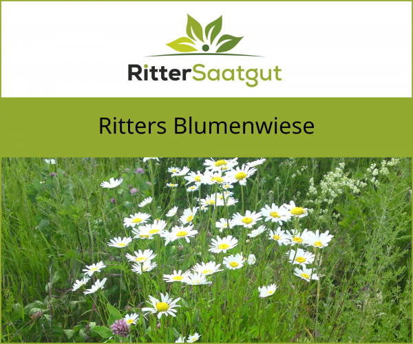 Ritter's Blumenwiese