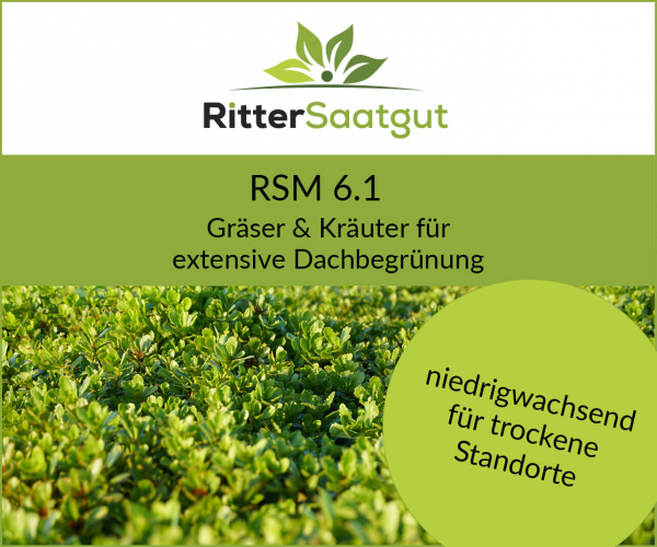 RSM 6.1 | Extensive Dachbegrünung