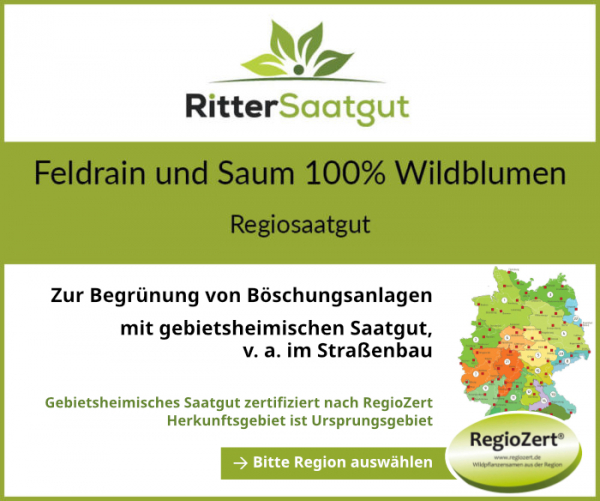 Feldrain und Saum 100% Wildblumen