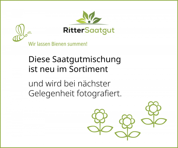 Regelsaatgut RSM 2.2.2 Gebrauchsrasen, Trockenlagen