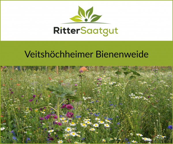 Veitshöchheimer "Bienenweide"