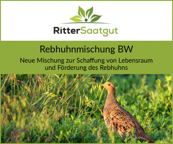 Rebhuhnmischung BW
