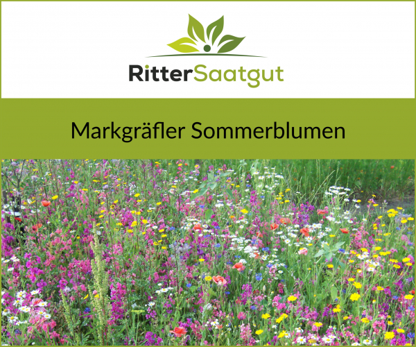 Markgräfler Sommerblumen