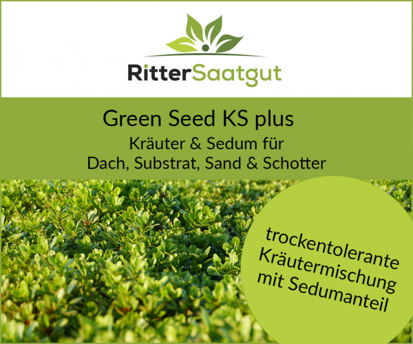 Green Seed KS plus | Kräuter & Sedum