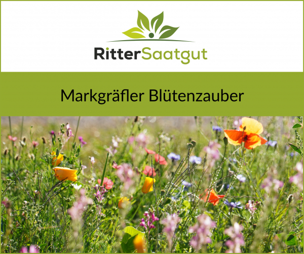 Markgräfler Blütenzauber