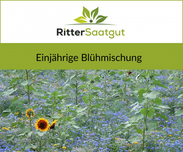 Einjährige Blühmischung