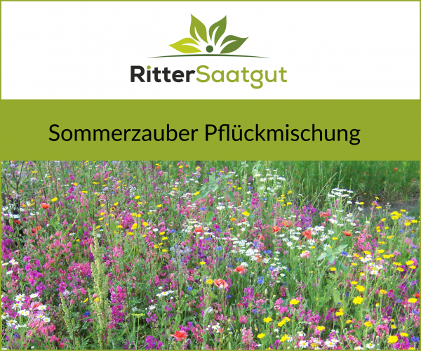 "Sommerzauber Pflückmischung"