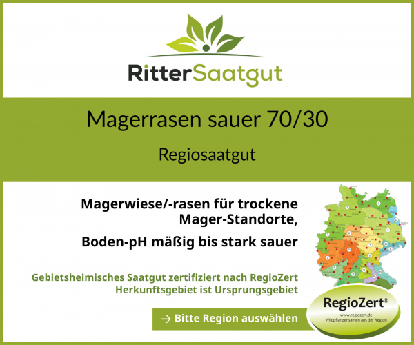 Magerrasen sauer 70-30