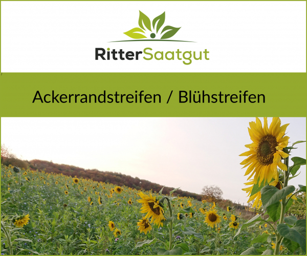 Ackerrandstreifen / Blühstreifen